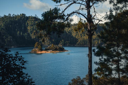 ada, ağaçlar, chiapas içeren Ücretsiz stok fotoğraf