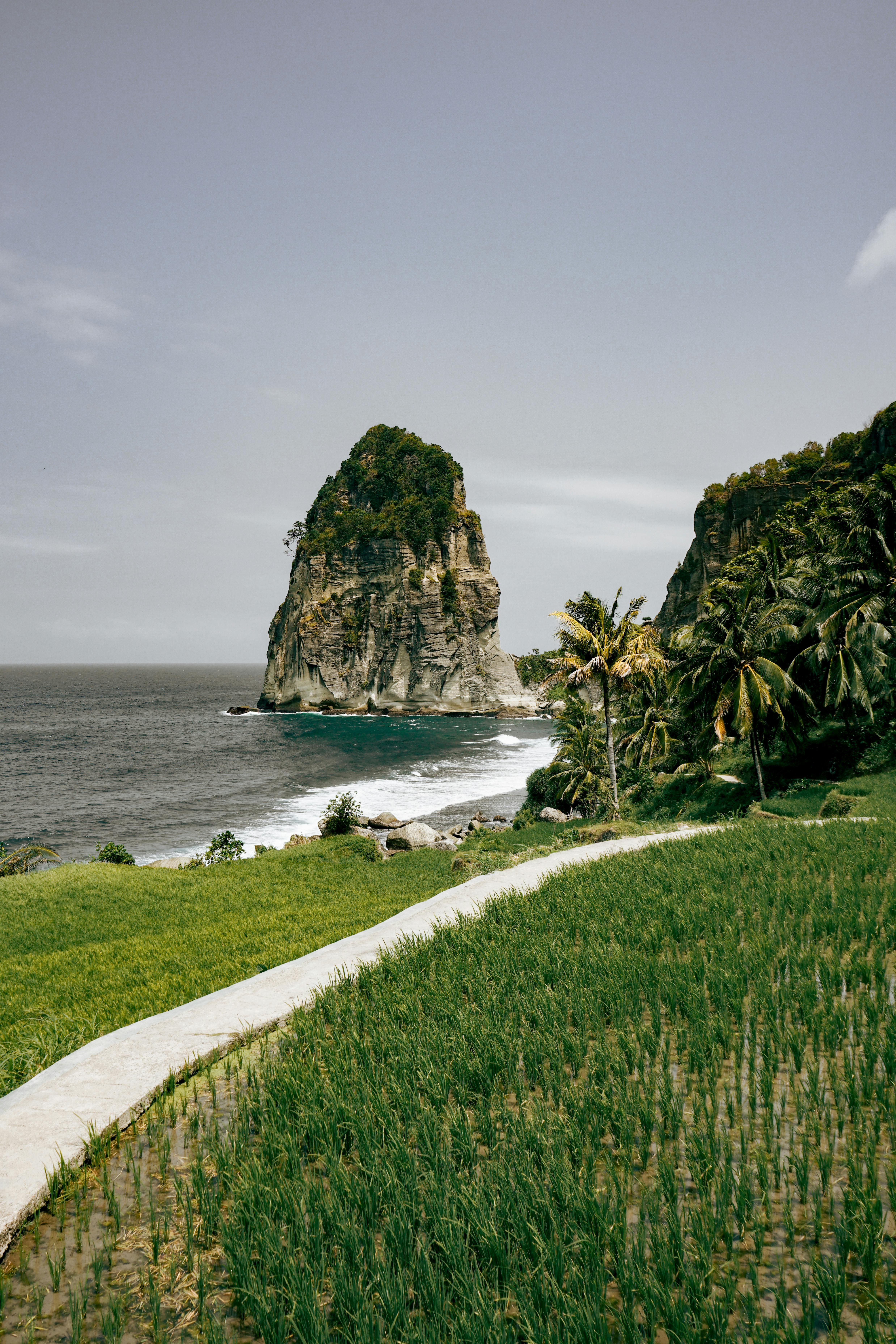 Explore the breathtaking coastal scenery with lush greenery and towering rock formations in Pacitan, East Java.