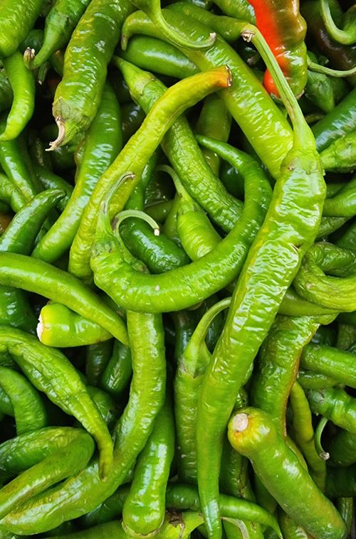 Free A vibrant close-up of fresh green chili peppers from a market in Istanbul, Turkey. Stock Photo
