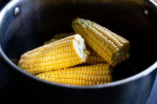 Corns in a Cooking Pot