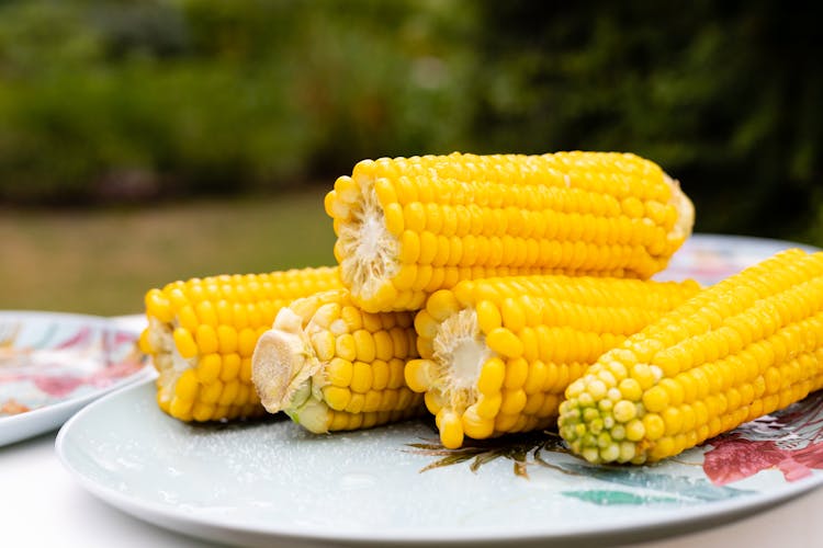 Close-up Photo Of Delicious Corn 