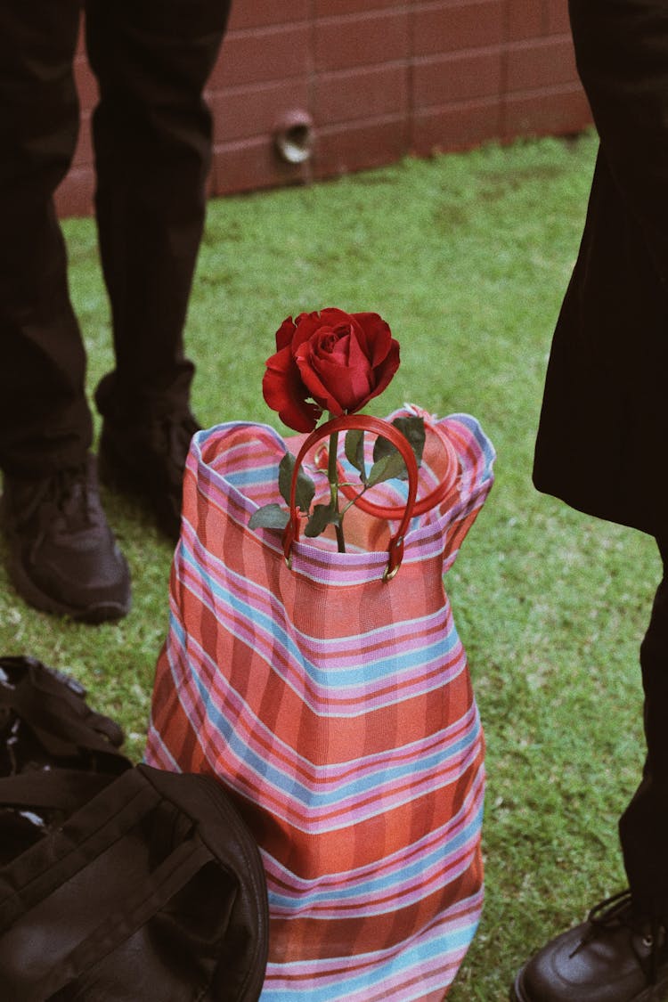 Red Rose On A Bag 