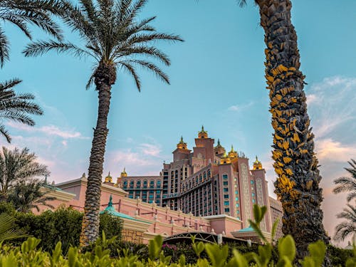 View of Hotel Building between Palm Trees 