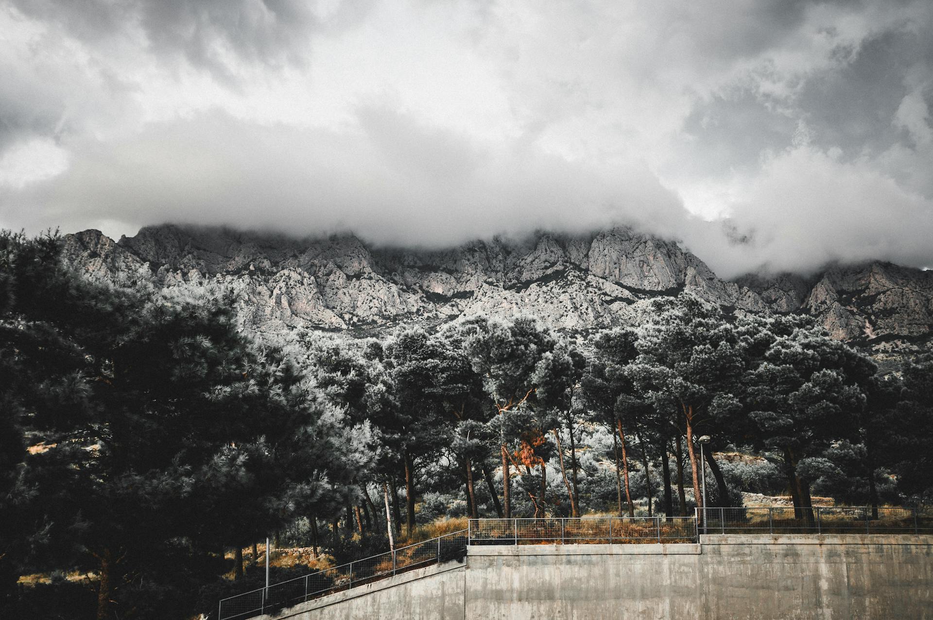 Cloud-covered mountains with trees in Croatia create a stunning natural scene.
