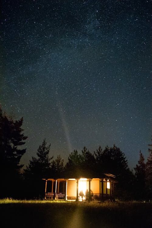 Immagine gratuita di alberi, chiesa, fotografia