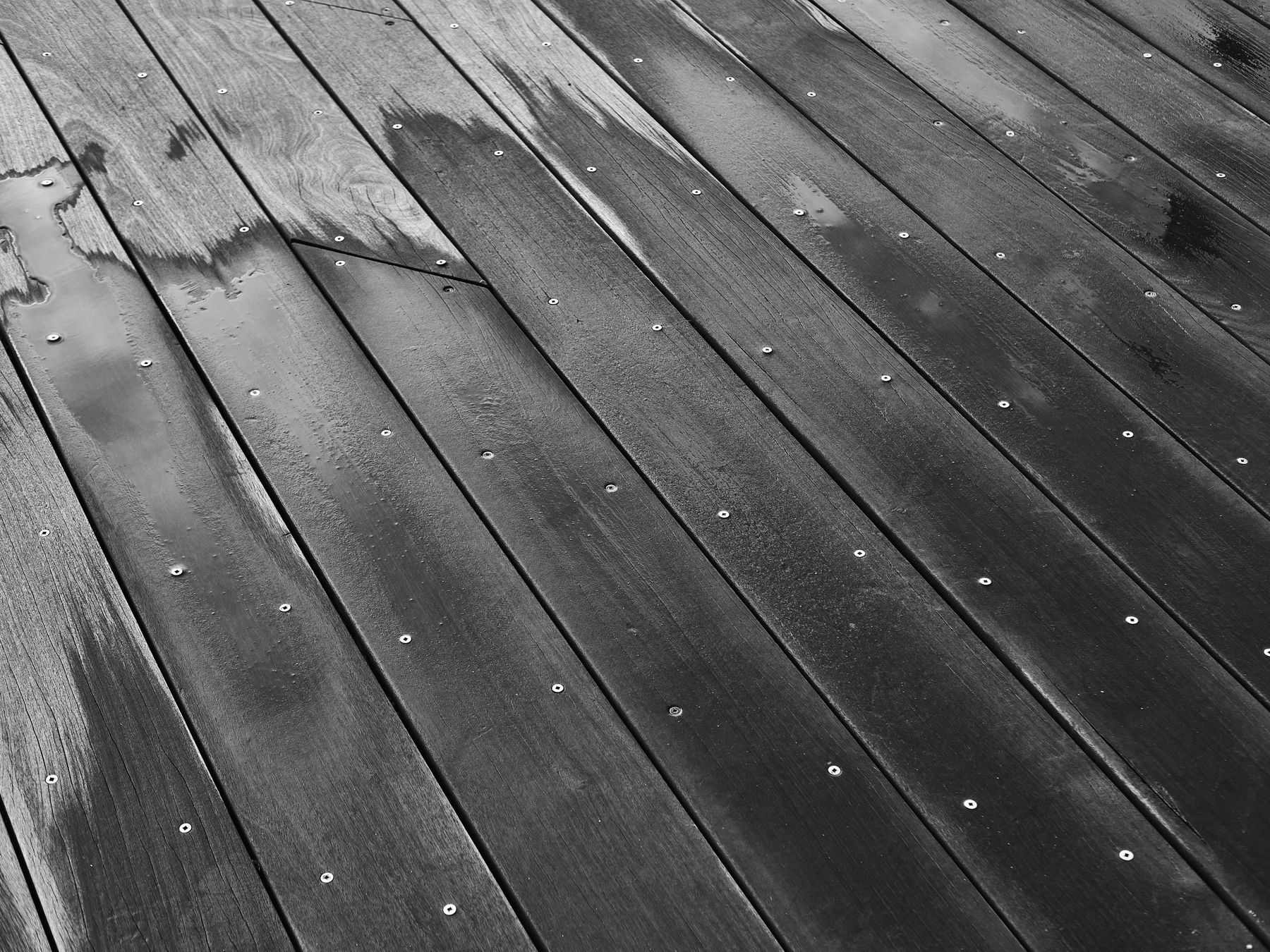 Fence and Decking Painting in Primrose Hill — surfaces prepped and cut in by hand