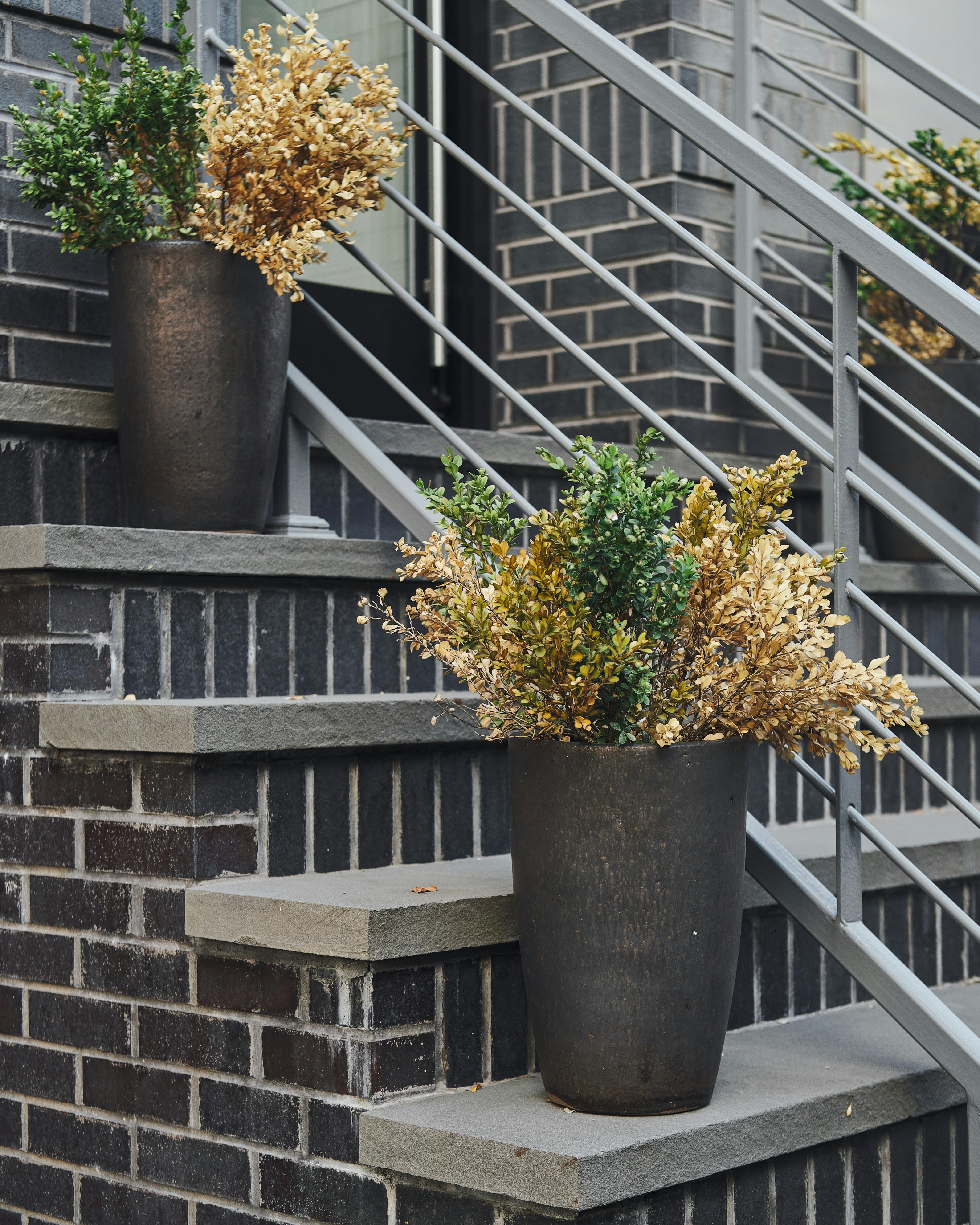 Potted Plants on Steps · Free Stock Photo