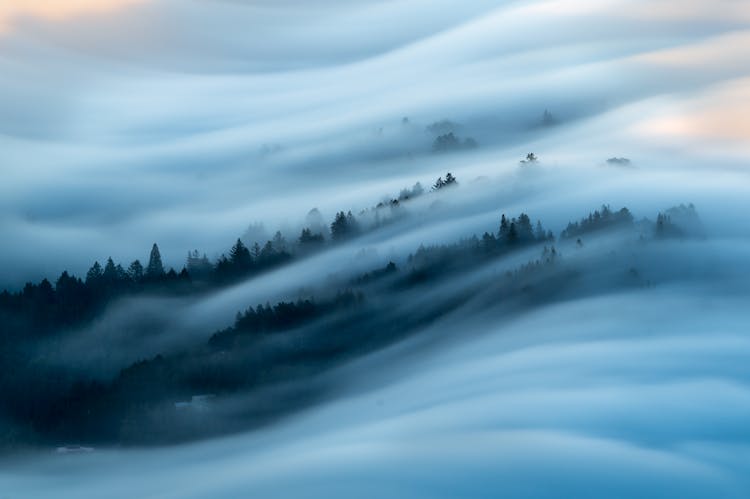 Birds Flying Over The Clouds