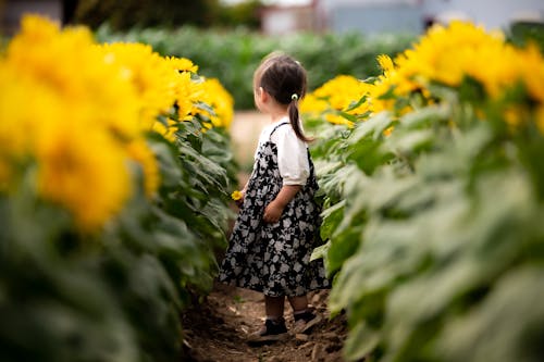 A Girl in Black and White Floral Dress Walking on Dirt Road Between Yellow Flowers