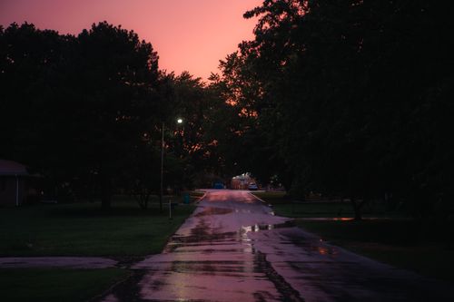 Free A serene wet road lined with trees at twilight, creating a moody atmosphere. Stock Photo