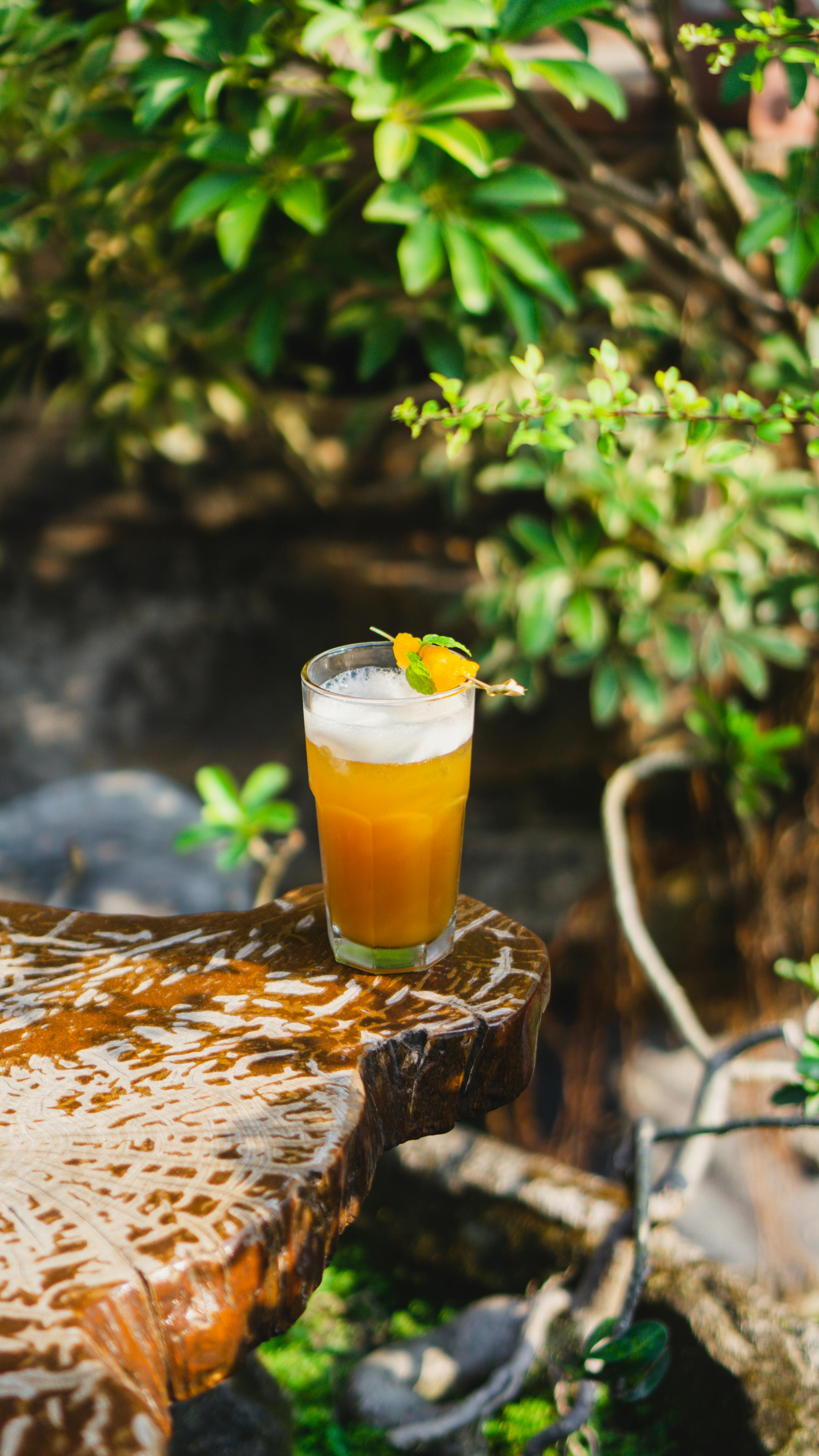 Why we shouldn t drink tea?