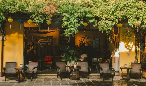 Free An inviting outdoor café features lush greenery and wooden seating. Stock Photo