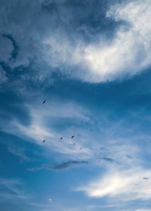 孟加拉國, 戲劇性的天空, 雲 的 免費圖庫相片