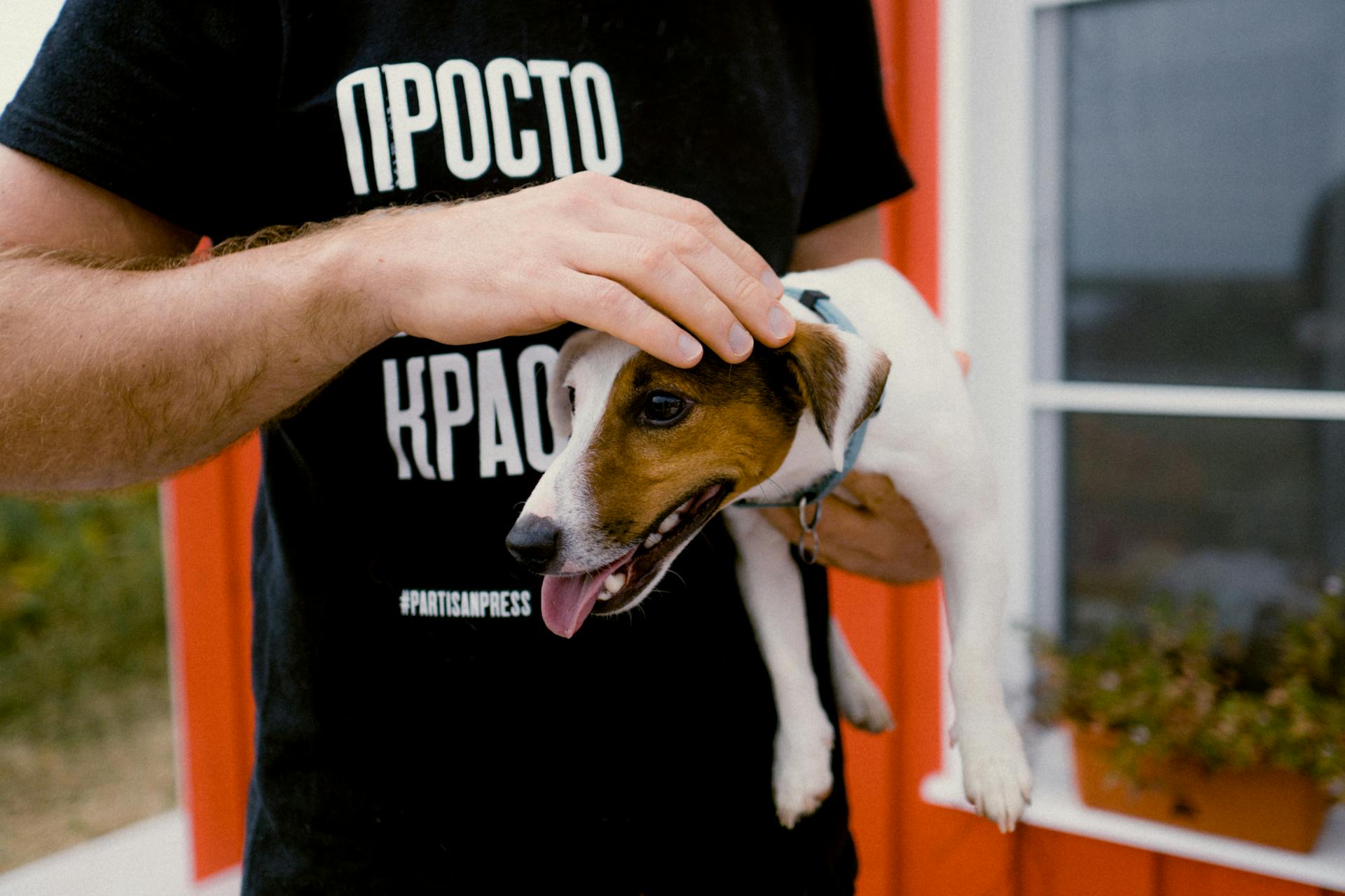 A Person Carrying and Petting a Dog