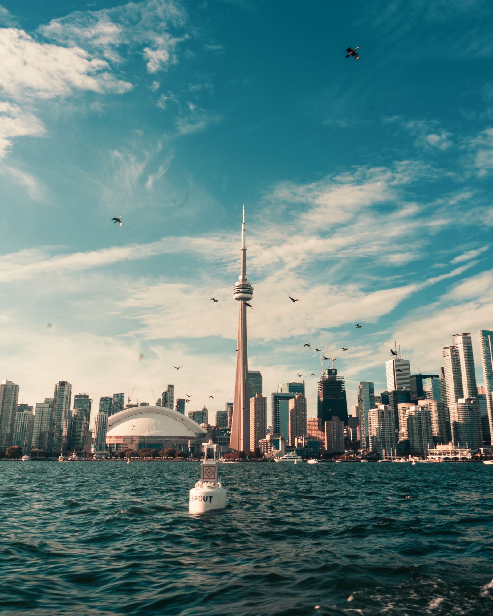 Toronto skyline with the CN Tower and financial district skyscrapers along the waterfront