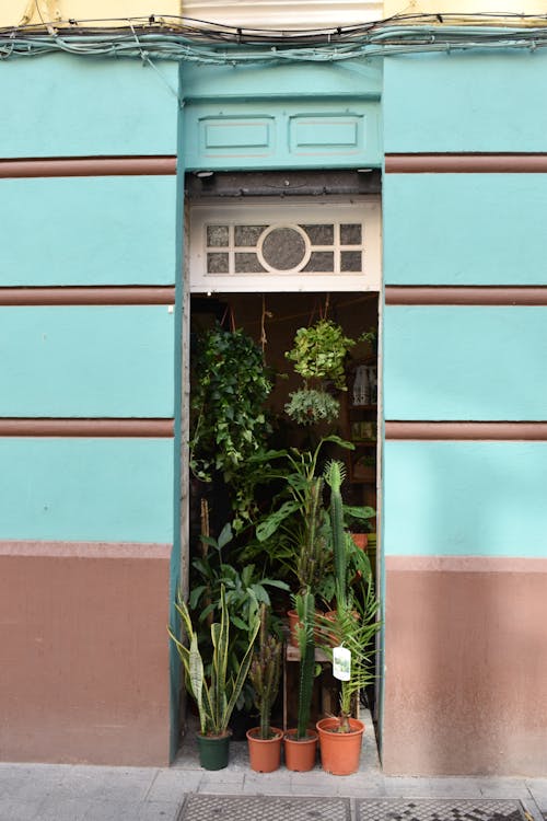 Plants in Door Opening