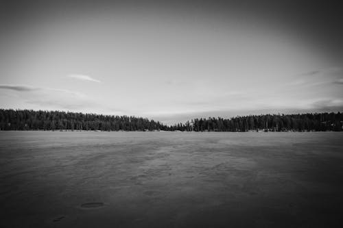 Frozen Lake