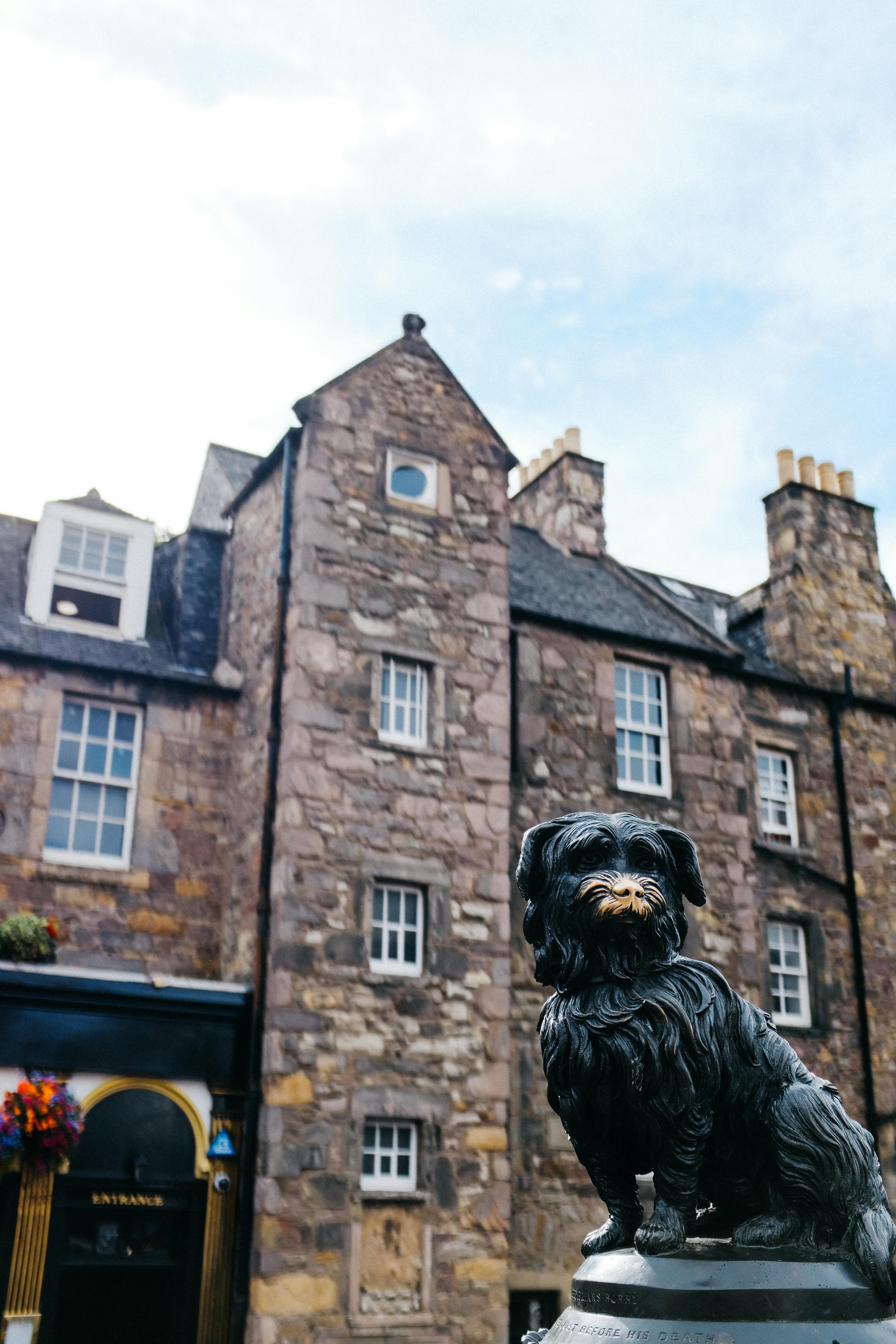 statue of dog near stone building with glass windows