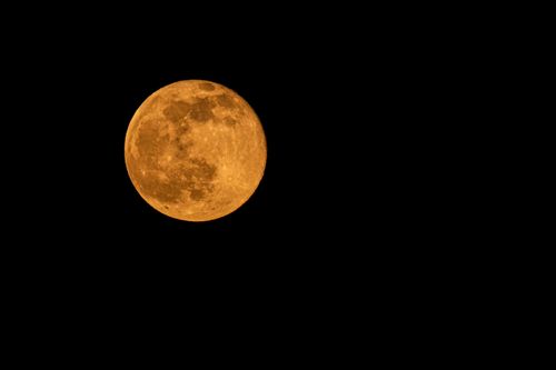 Free A captivating view of the full moon brightly illuminated against a deep black night sky. Stock Photo