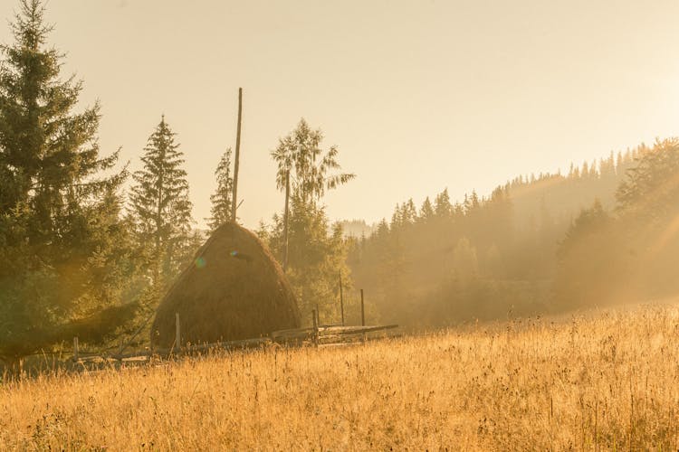 Haystack On Mountain Area