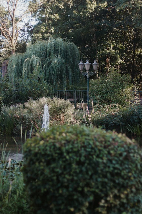 Gratis stockfoto met groene planten, lantaarn, tuin