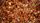 autumn background
