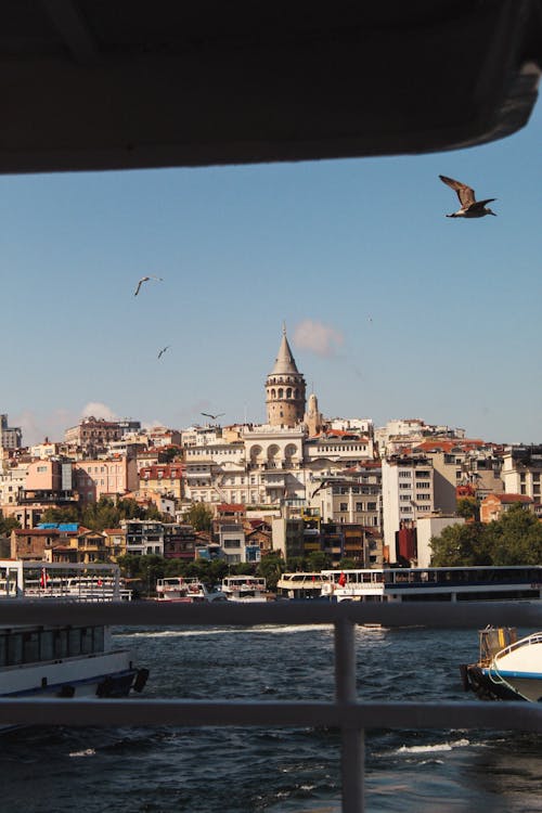 Základová fotografie zdarma na téma budovy, cestování, galata věž