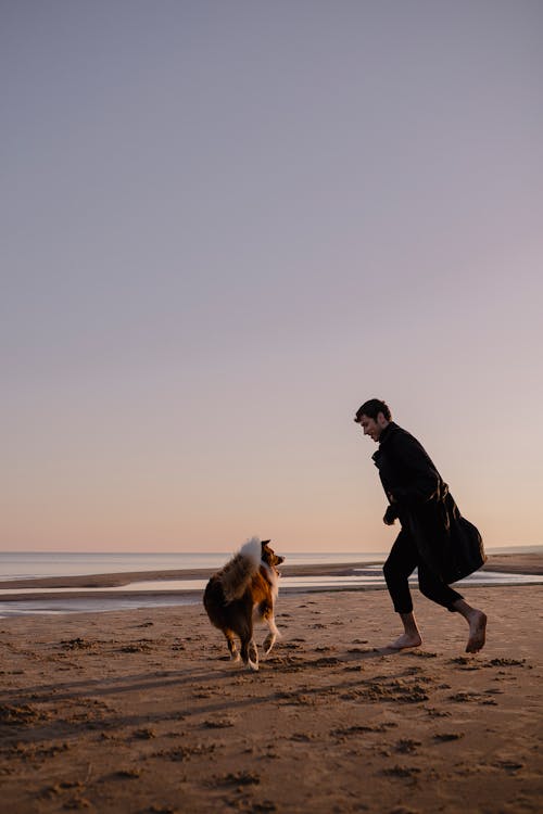 Man Running on the Beach with his Dog 