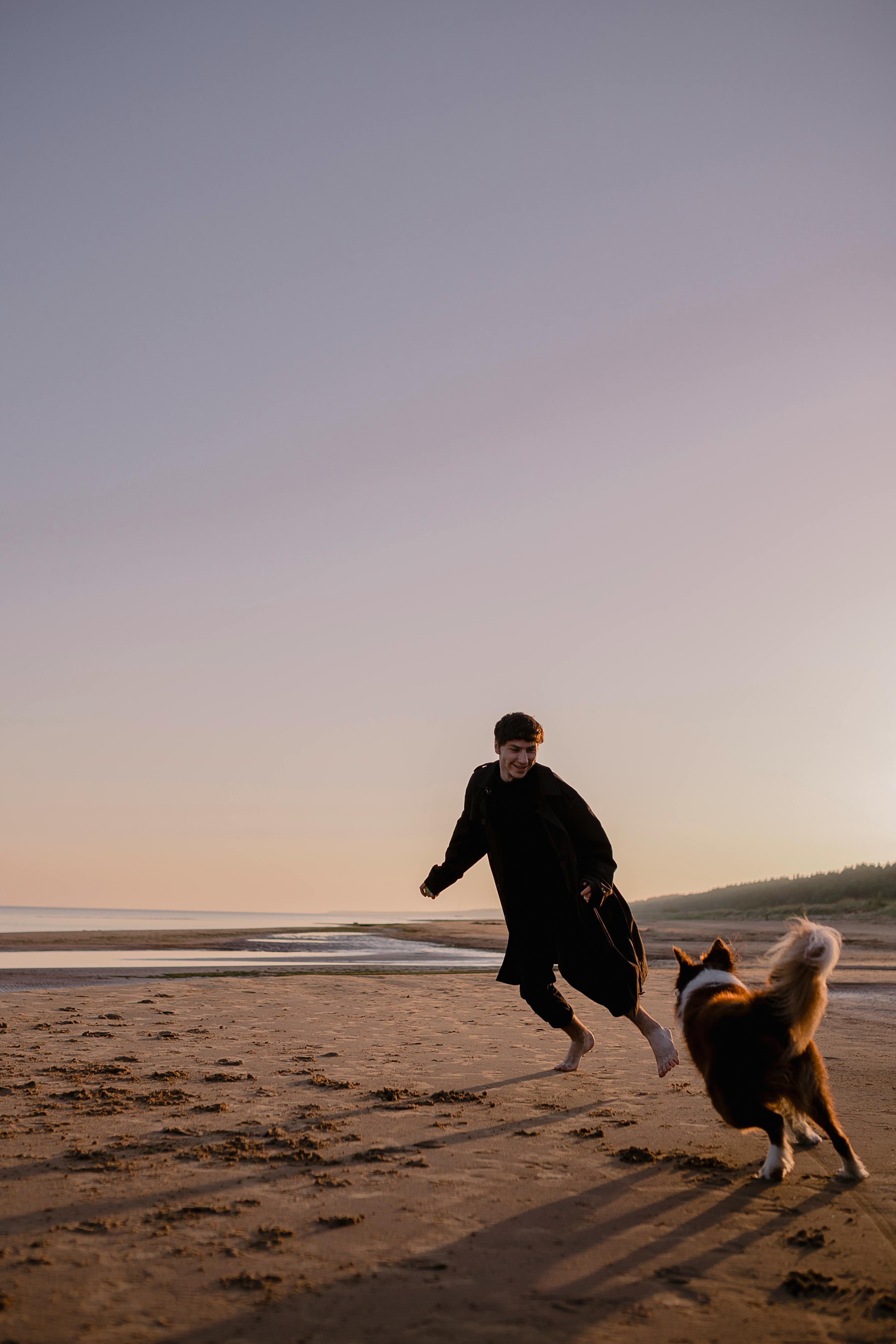 Free A man joyfully runs barefoot on the beach with his dog during a beautiful sunset. Stock Photo