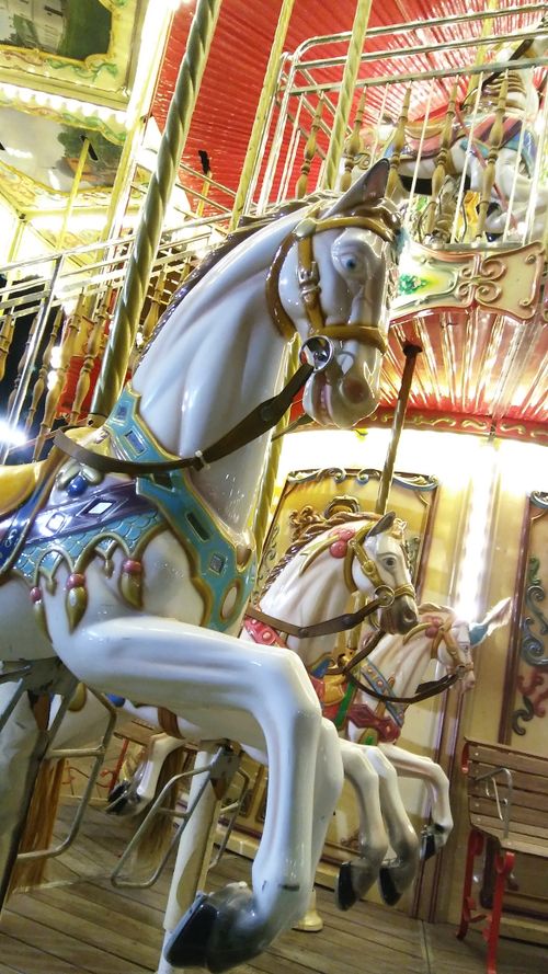 Free stock photo of carousel, fairground, horse Stock Photo