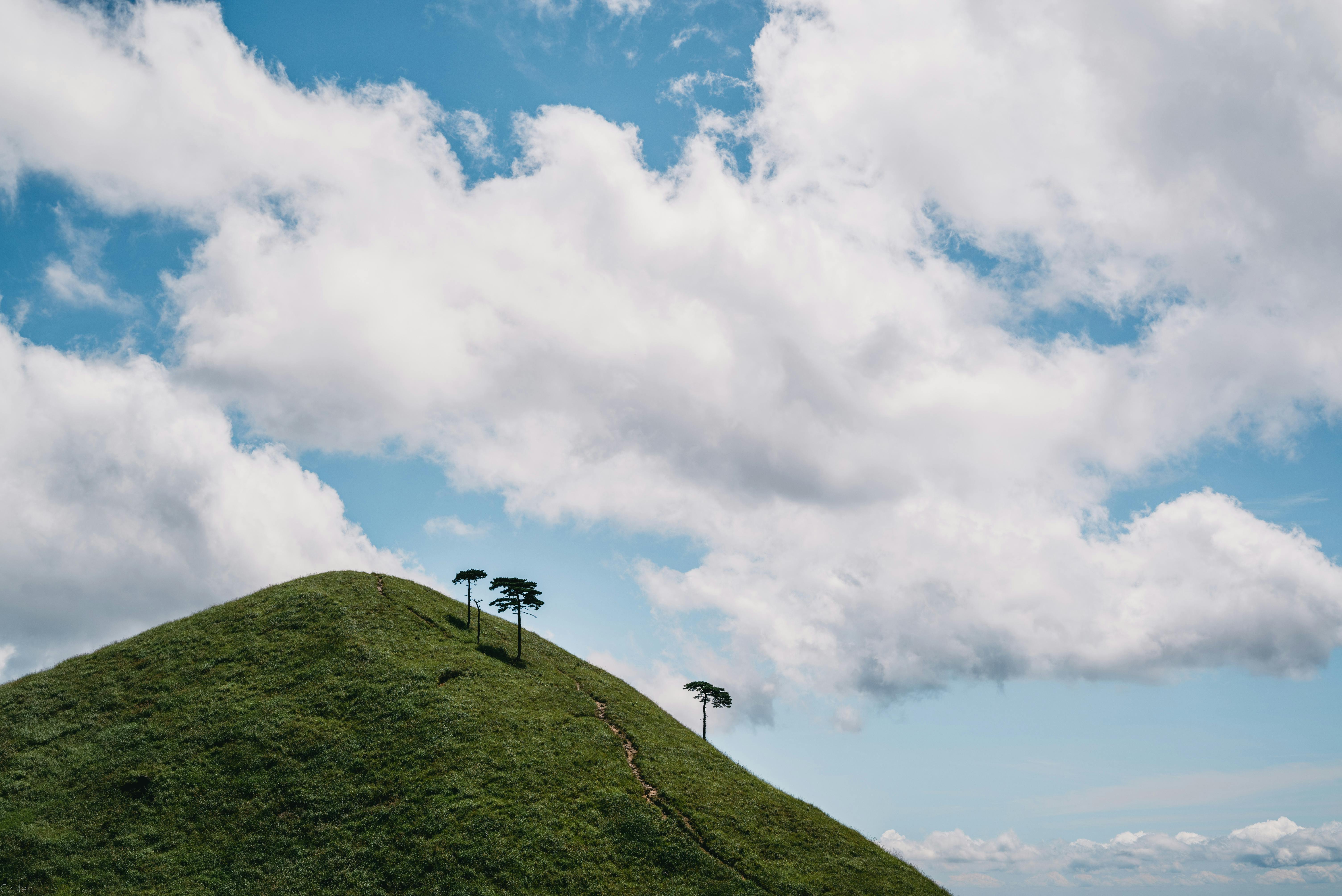 A lush green hill with sparse trees beneath a blue sky filled with fluffy clouds.