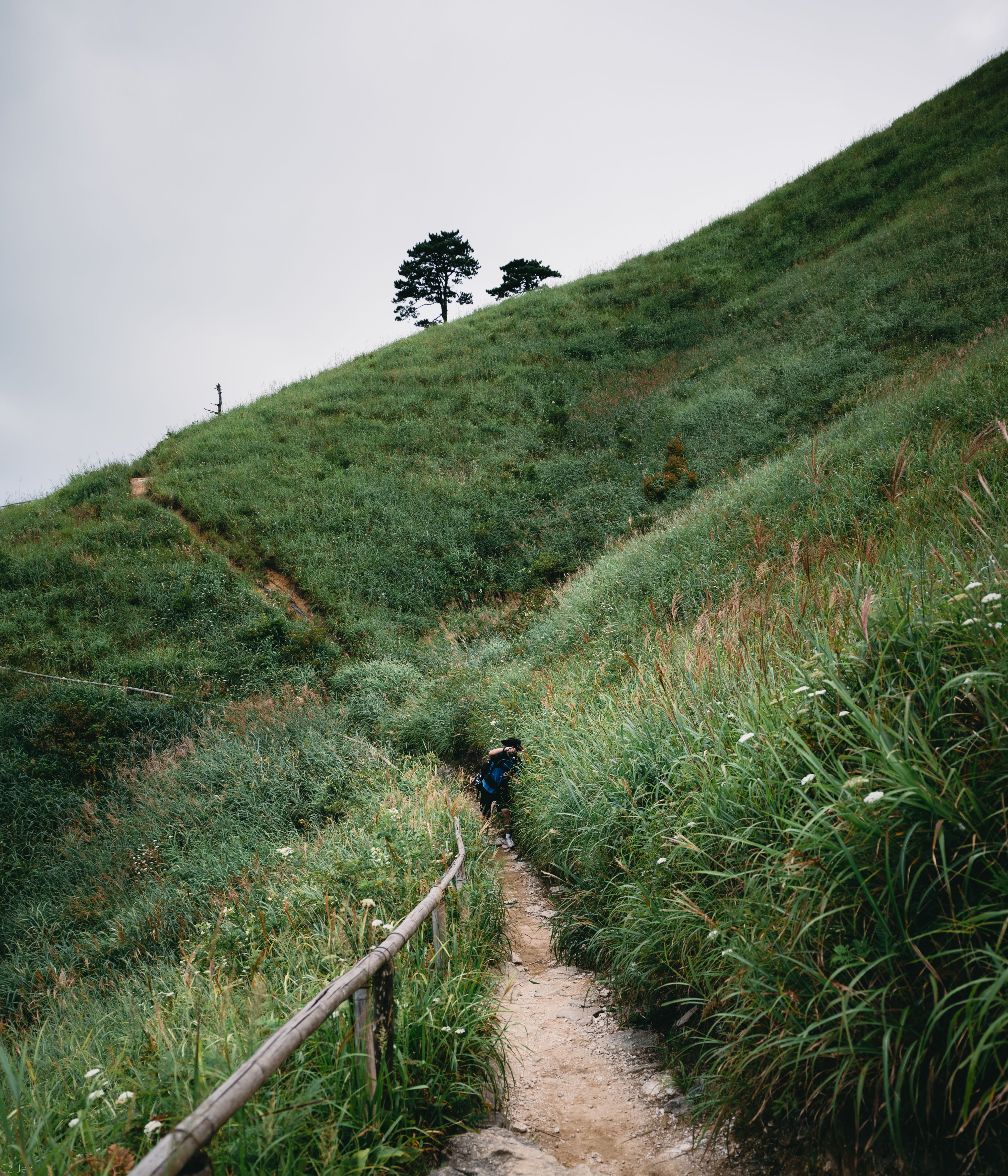 Person Walking on Pathway Between Green Grass Field · Free Stock Photo