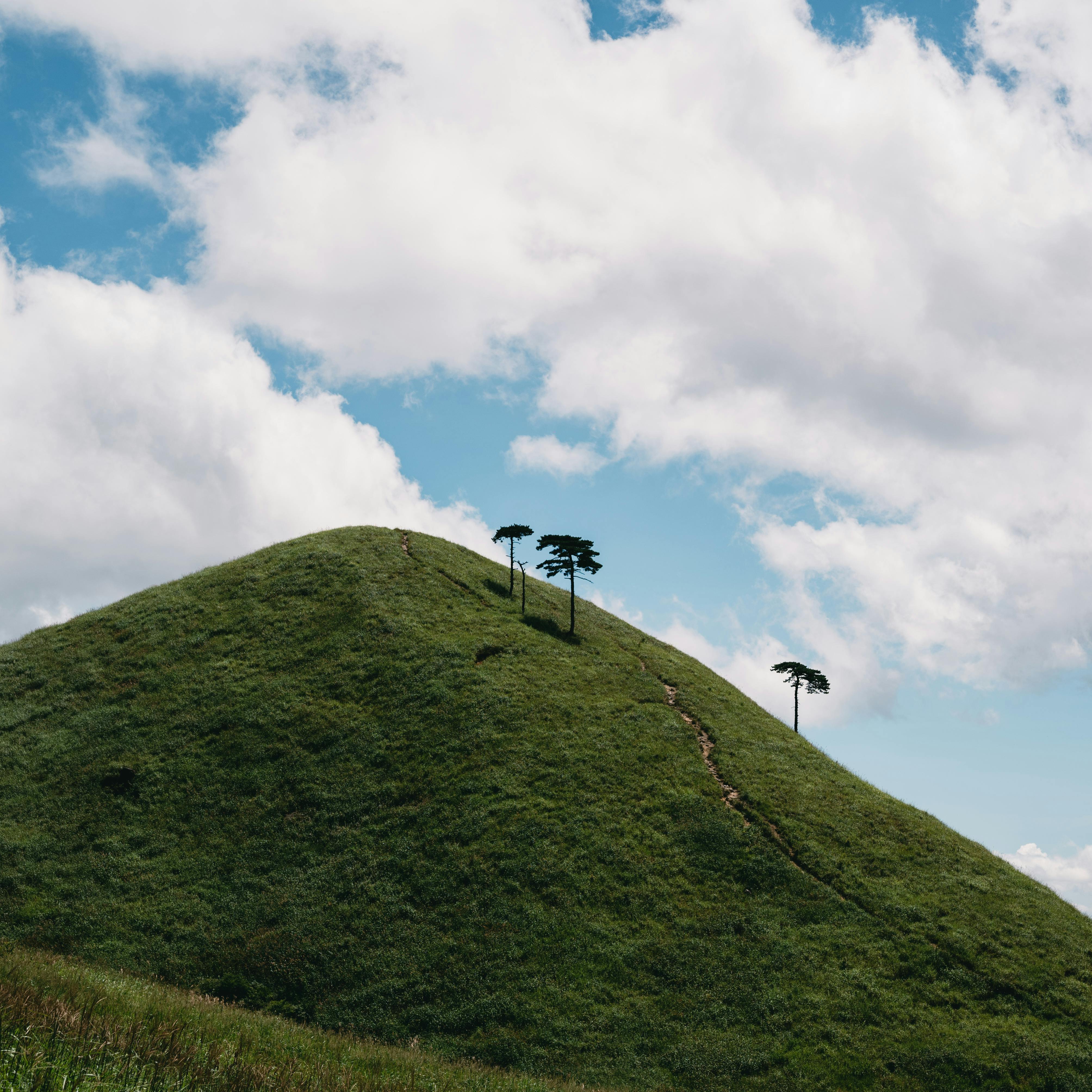 Serene hillside with a few trees under a bright blue sky with fluffy white clouds.