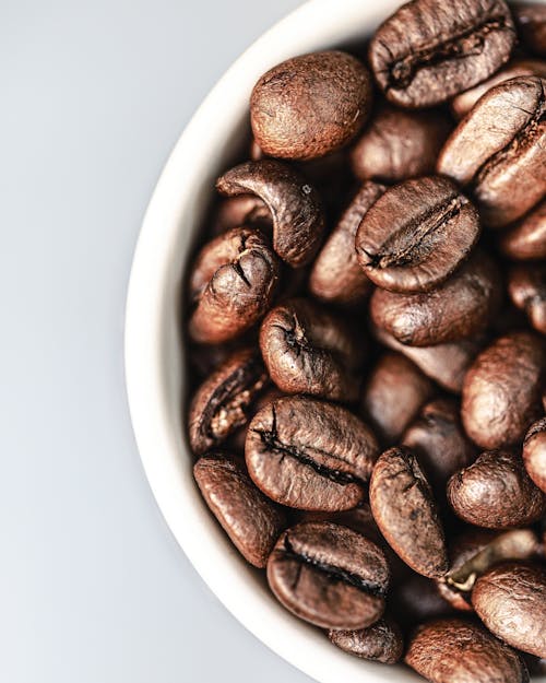 Close-Up Shot of Coffee Beans