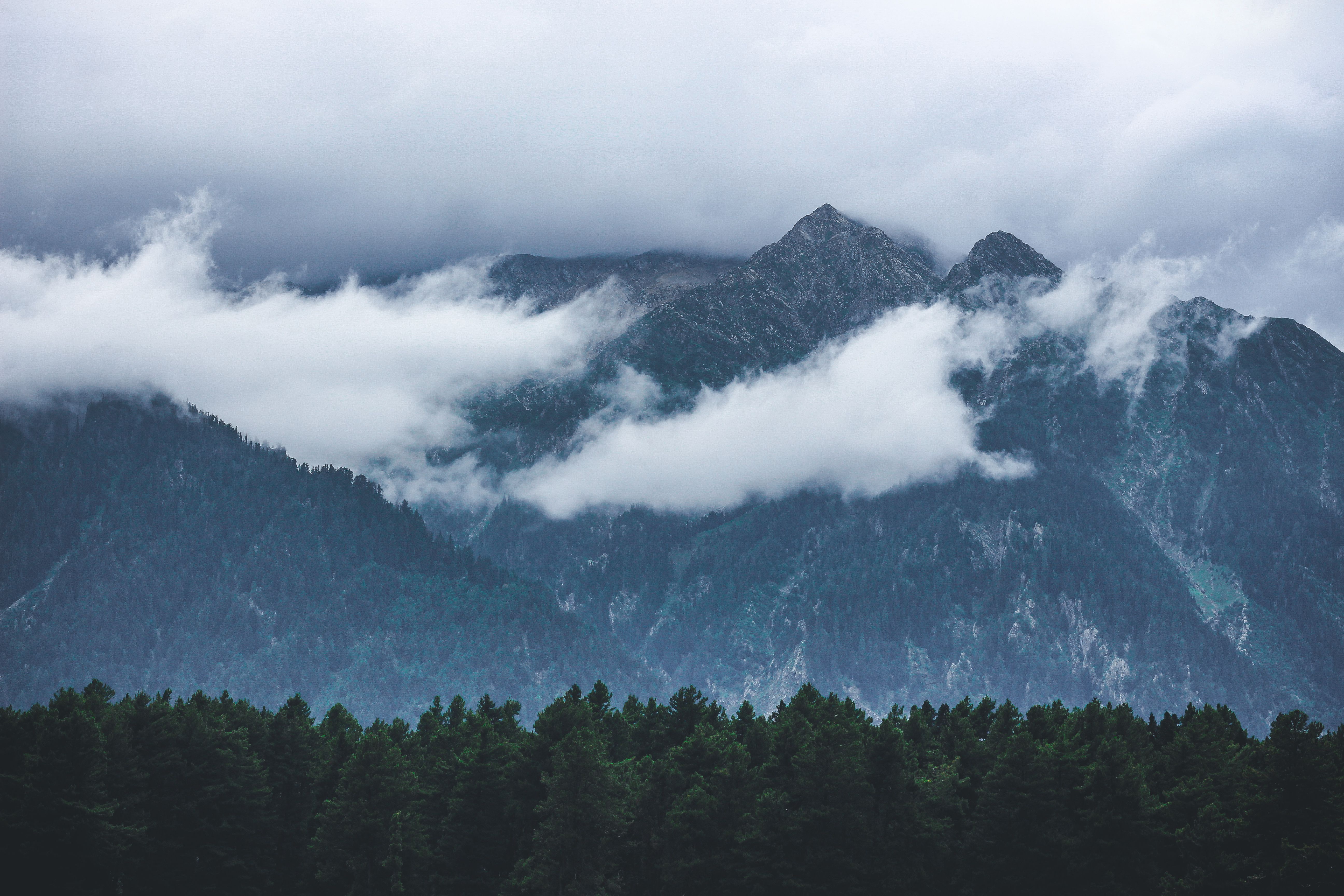 Green Pine Trees Near Mountain Under White Clouds · Free Stock Photo
