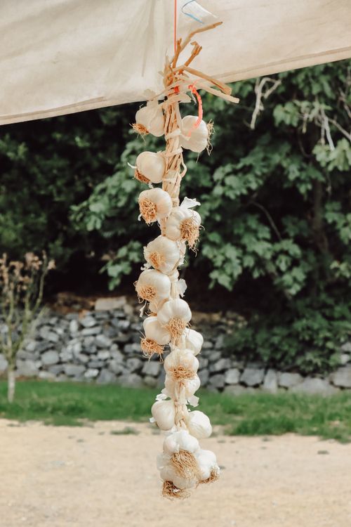 Free Braid of garlic bulbs hanging outdoors against a natural background. Stock Photo