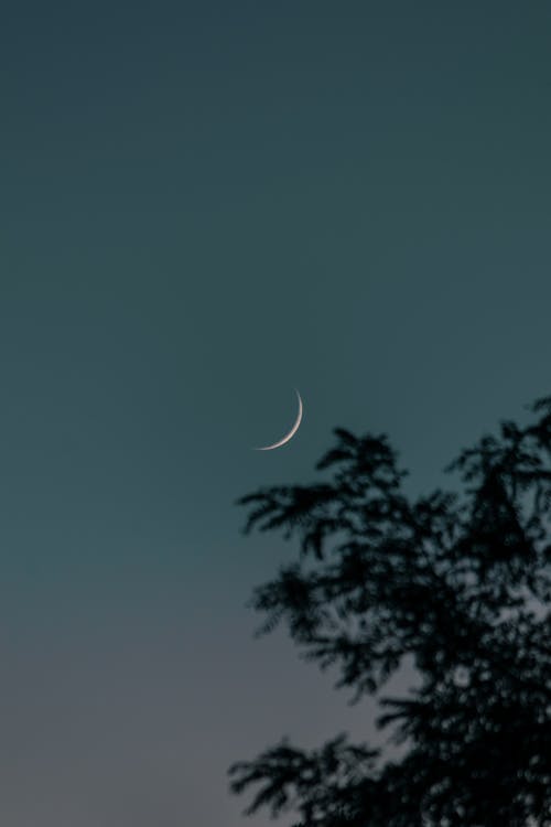 免费 垂直拍摄, 天空, 新月 的 免费素材图片 素材图片