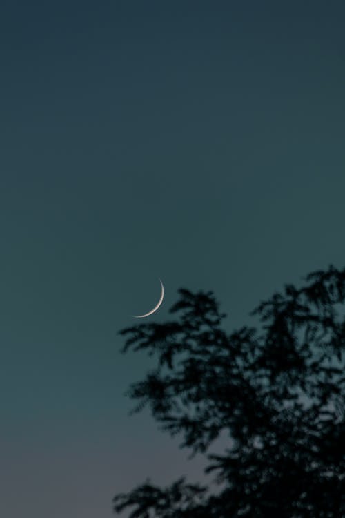 Kostnadsfri bild av förmörkelse, halv måne, lågvinkelfoto