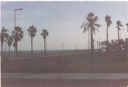 Free A tranquil view of palm trees lining a beachfront promenade in Barcelona, Spain. Stock Photo