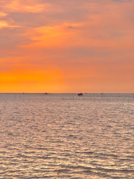 A breathtaking sunset over a calm ocean with vivid orange hues and gentle waves.