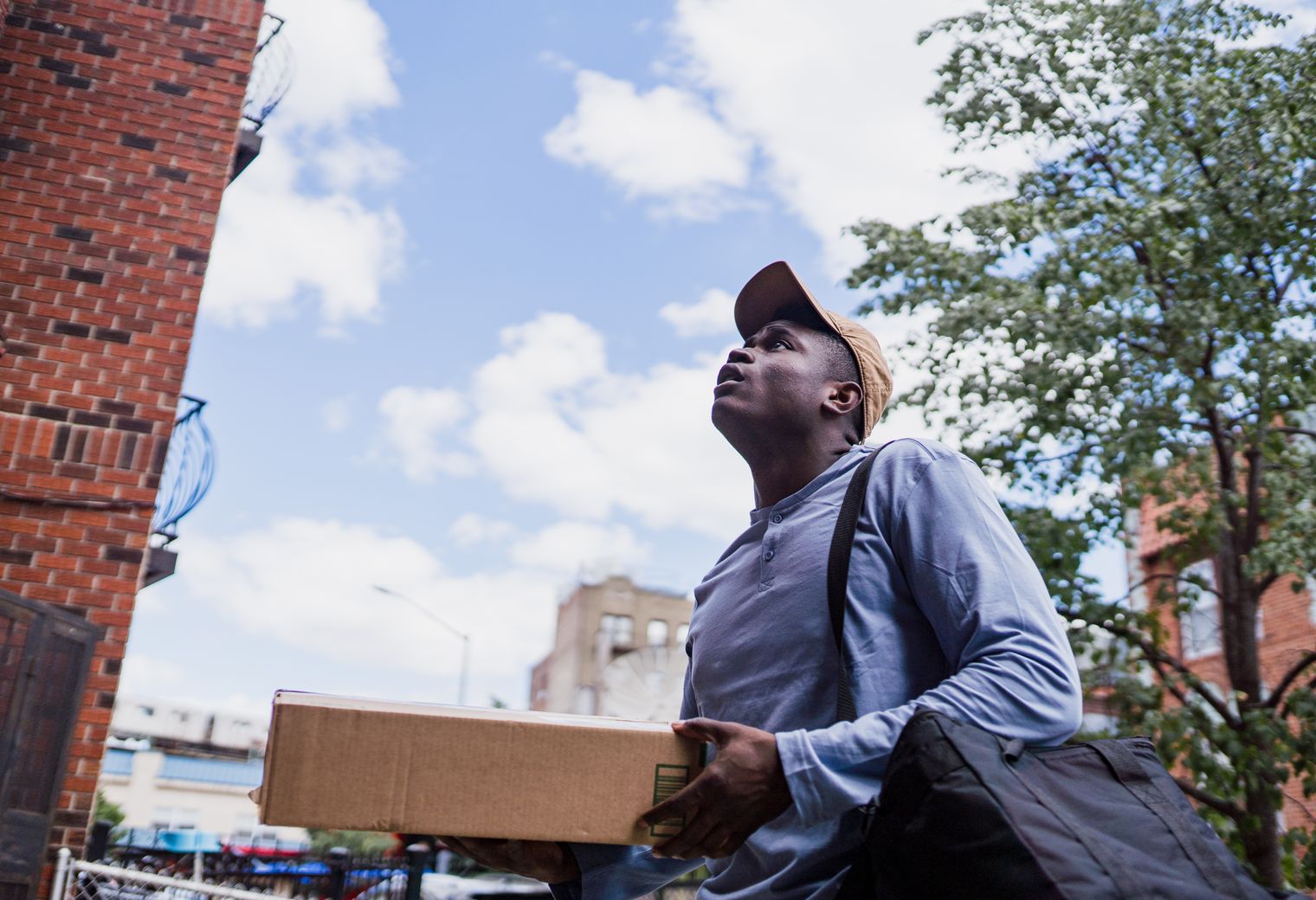 Lizard — professional packers wrapping and boxing belongings