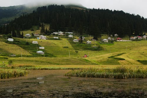 Landscape Photography of the Golyani Yaylasi Countryside in Turkey