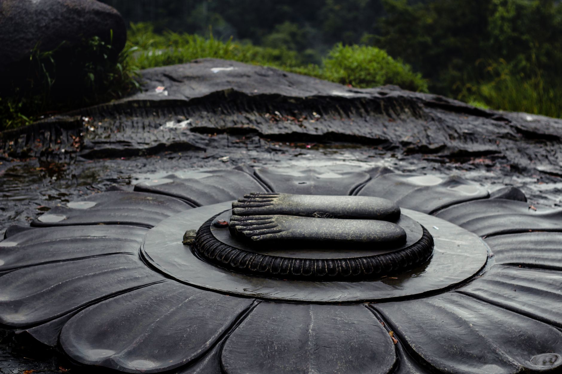 One Day in Sakleshpur: What Not to Miss