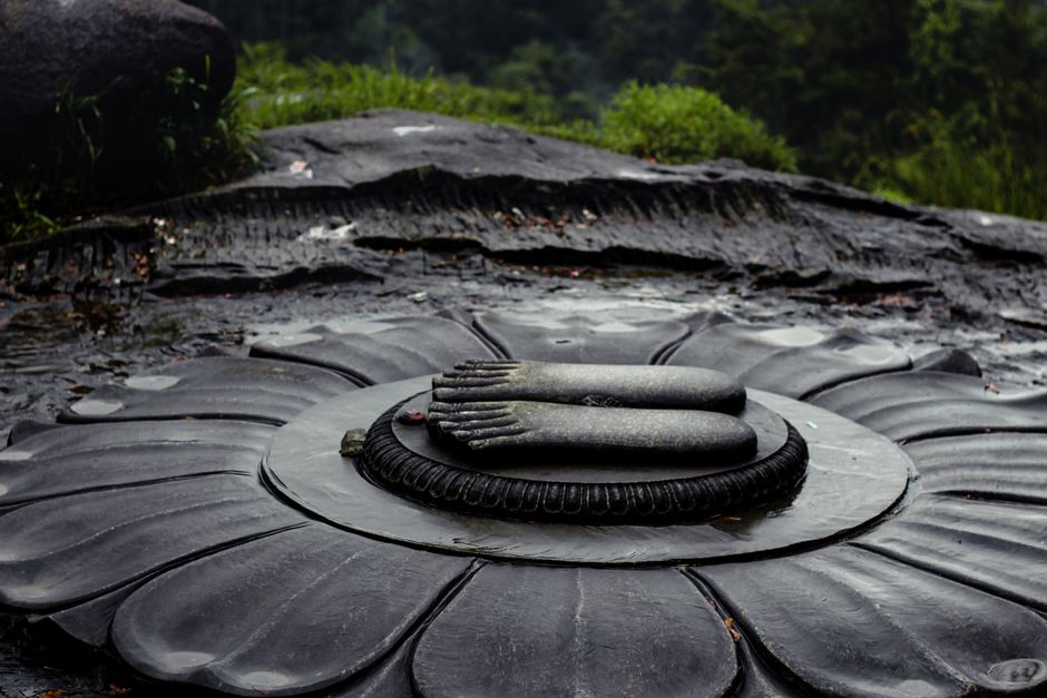 Close-up of a carved stone formation at Sahasralinga, India, surrounded by nature.