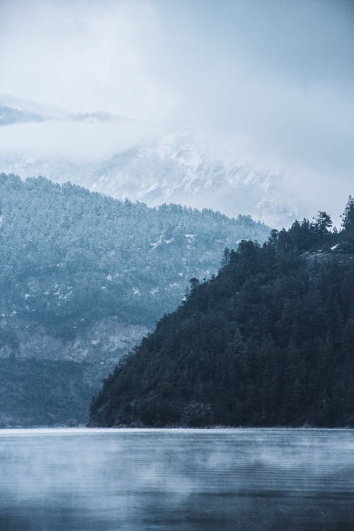 Fog over Sea Shore with Trees on Hills