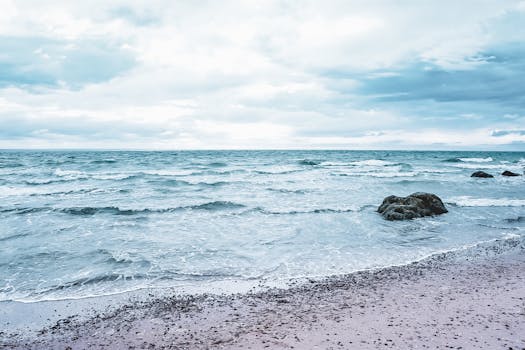 Puerto Madryn, Argentina photo 4