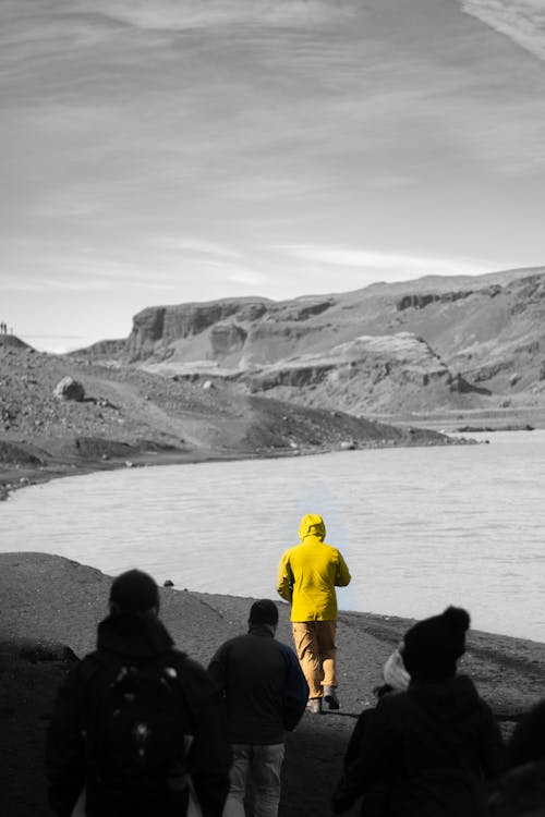 Free stock photo of contrast, everything yellow, iceland