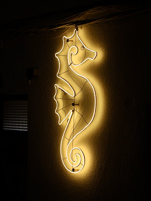 Neon Sign Hanging on a Wall