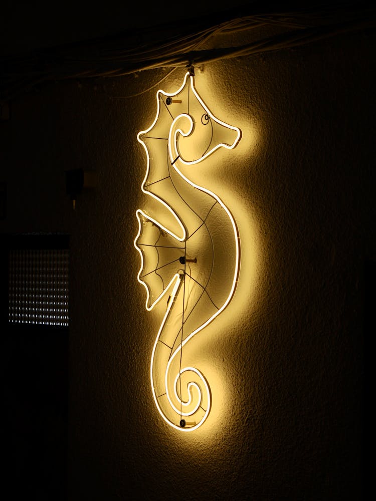 Neon Sign Hanging On A Wall