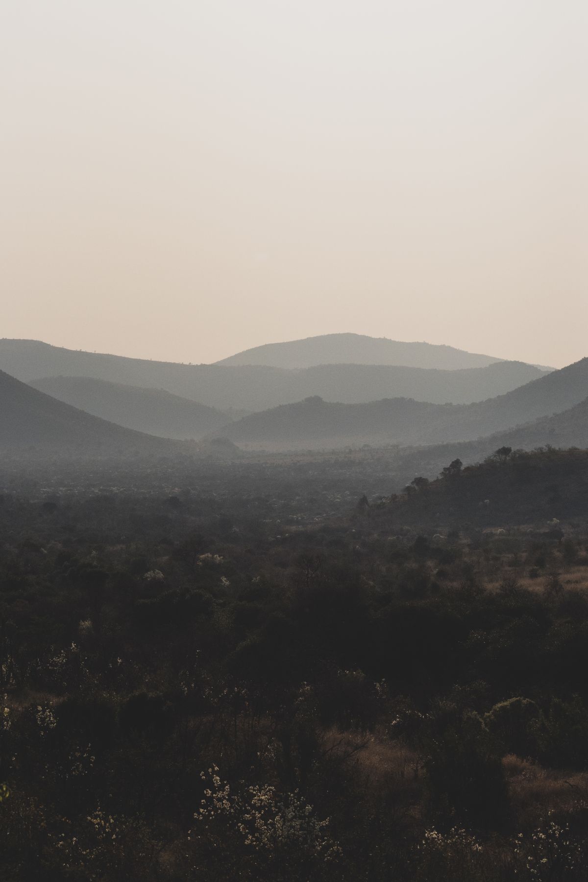 African Heritage Landscape